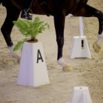 Africhting en training