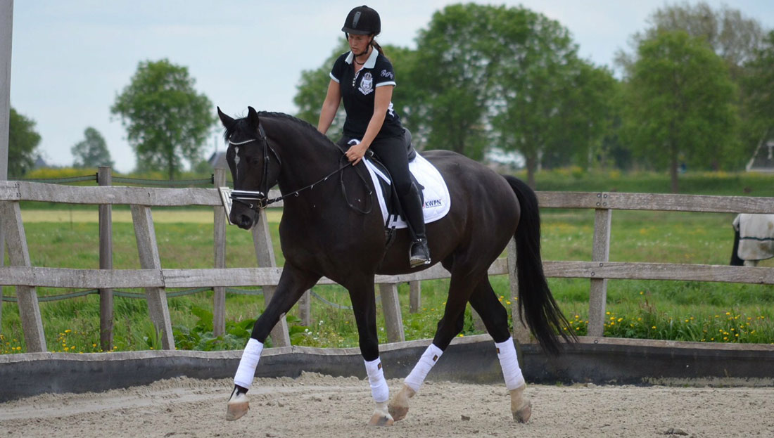 Stal Bouwman instructie